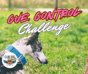 Cue Control Challenge