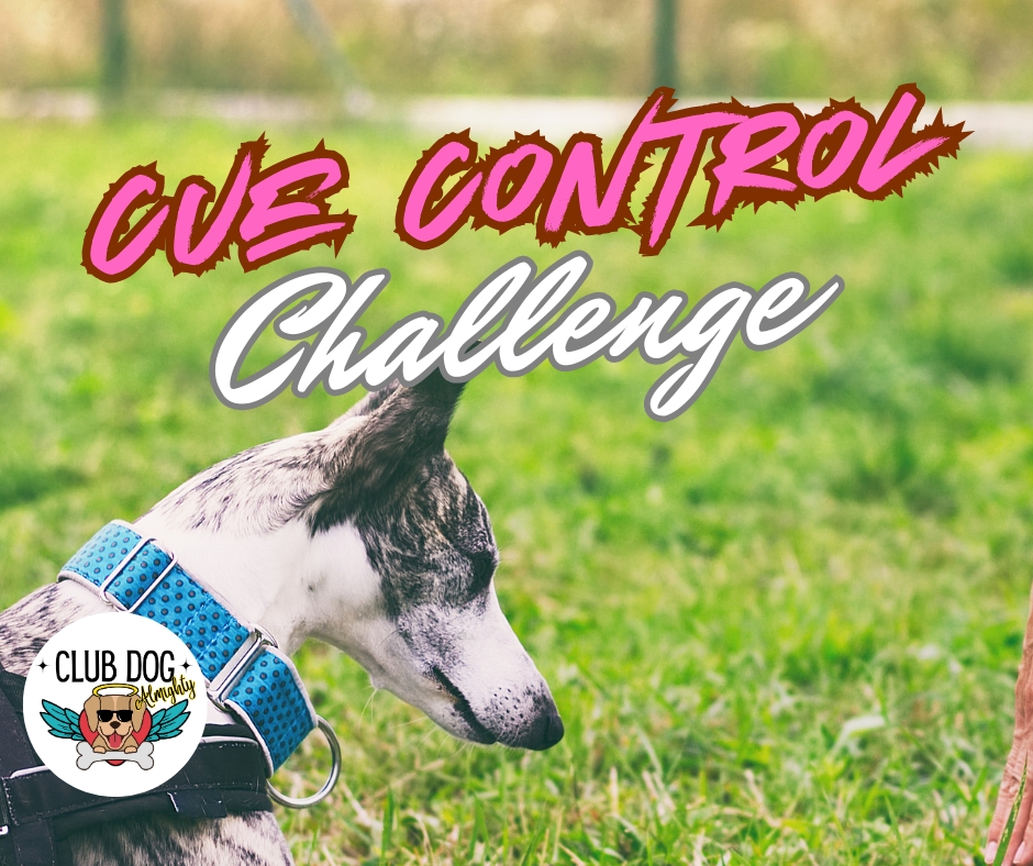 Cue Control Challenge
