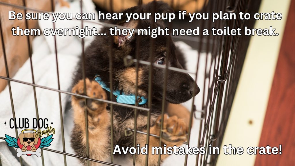 Avoid Mistakes in the Crate