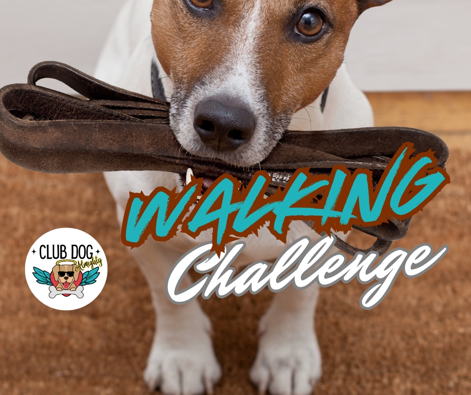 Walking Challenge