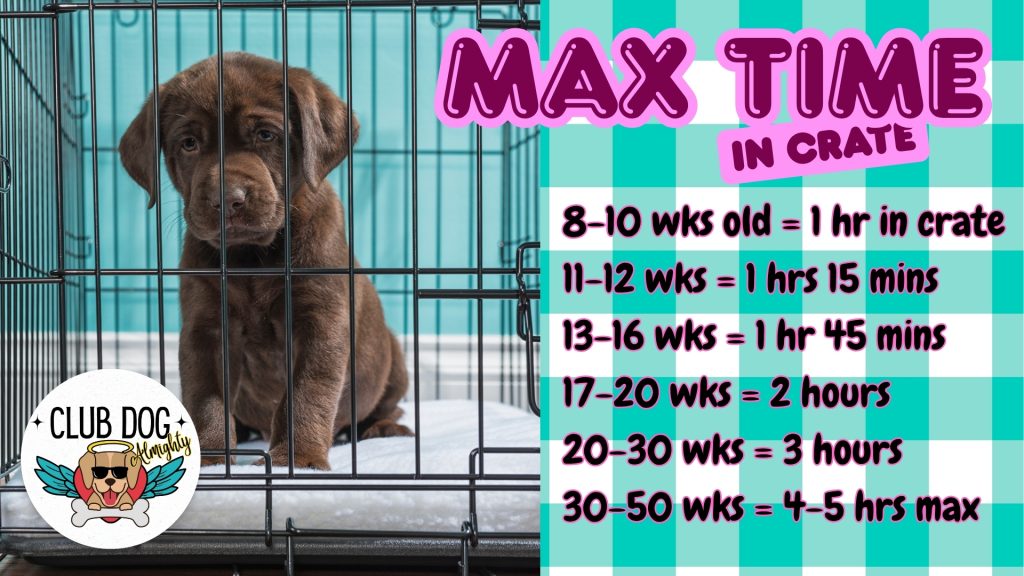 Max Time in Crate