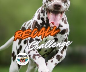 Recall Challenge