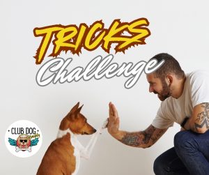 Tricks Challenge