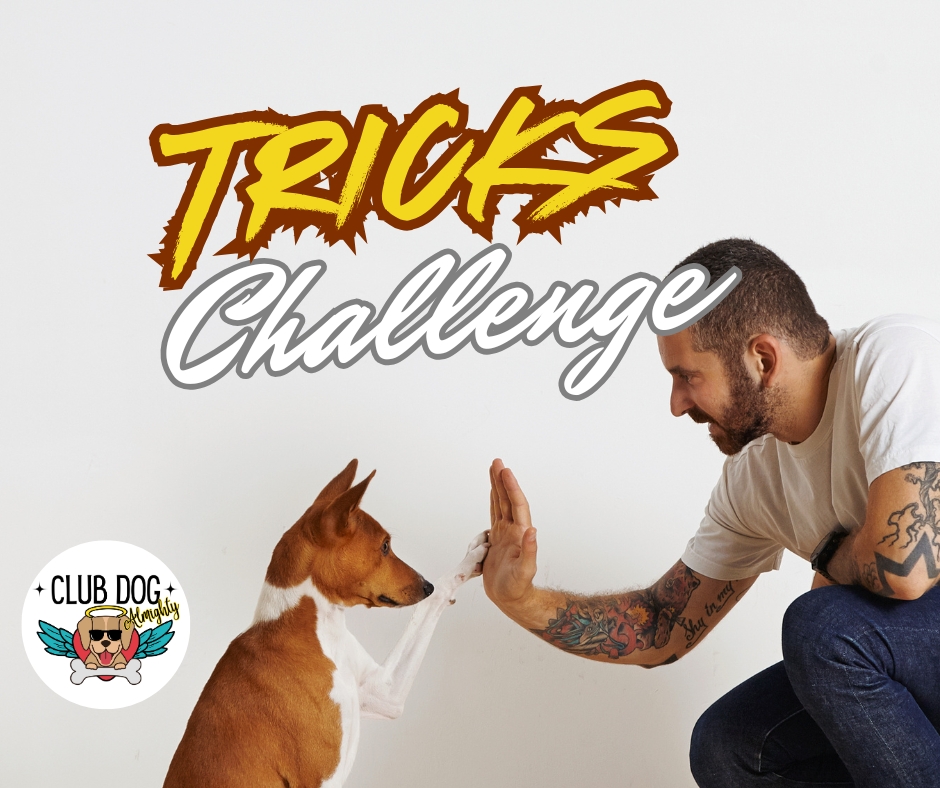Yoga Mat Challenge