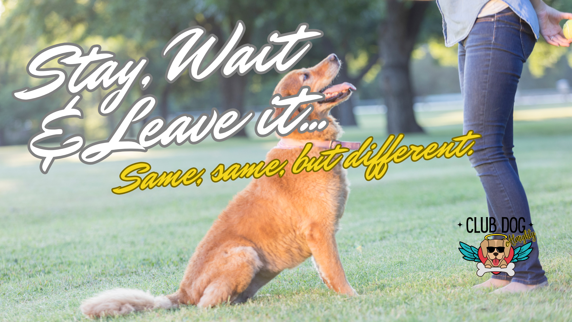 Blog Feature - Stay Wait Leave