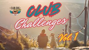 Club Challenges Vol 1 Asset