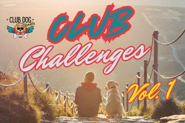 Club Challenges Vol 1 Asset