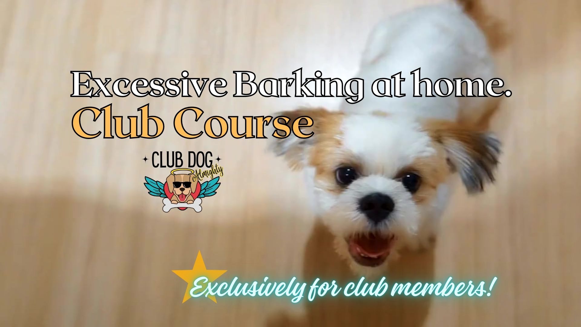 Excessive Barking at Home