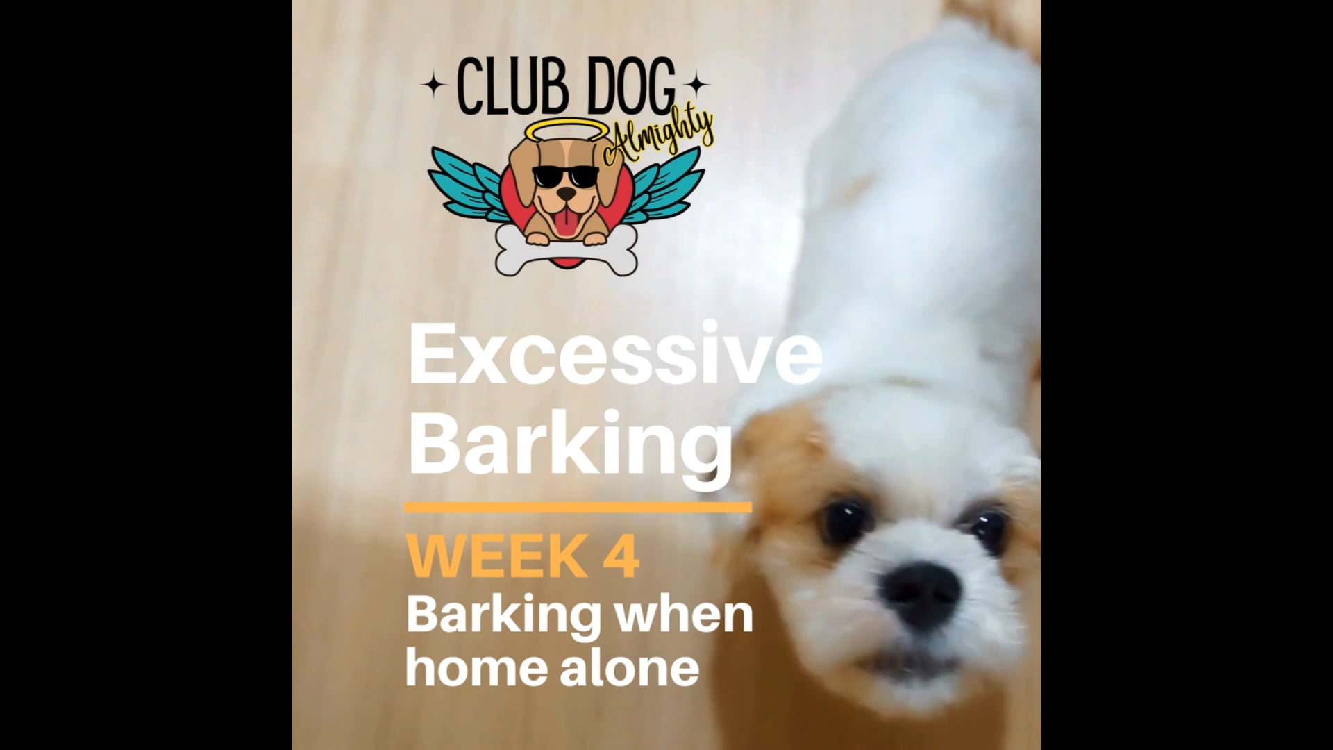 Barking when home alone.