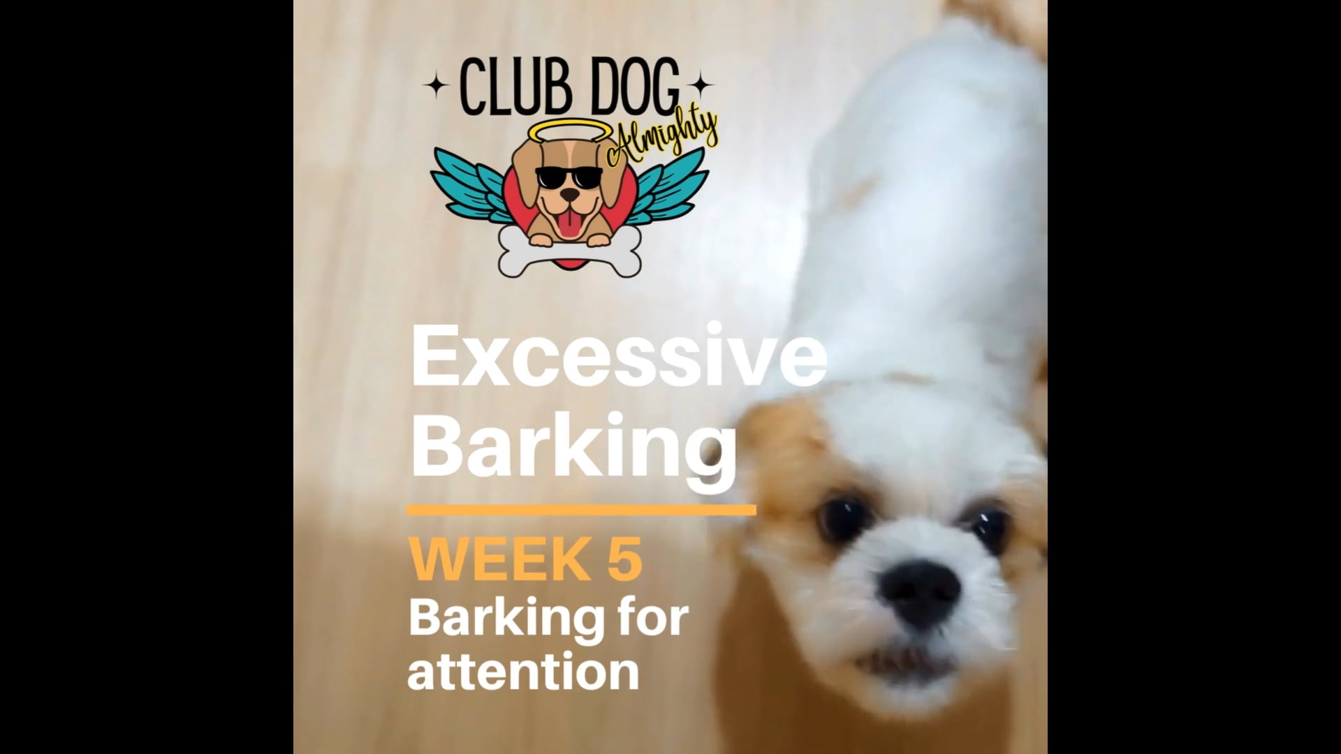 Barking for attention.