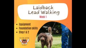 Laidback Lead Walking week 1