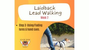 Laidback Lead Walking week 2
