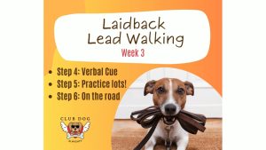 Laidback Lead Walking week 3