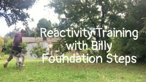 Reactivity training with Billy
