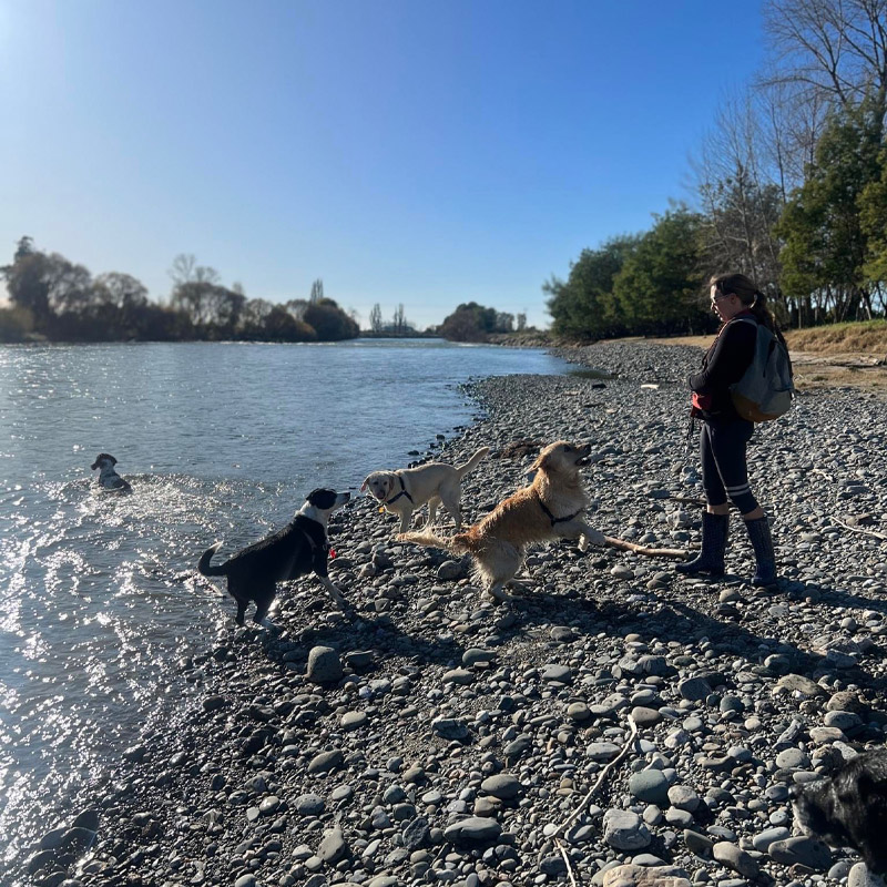 Dog Walker, Helen