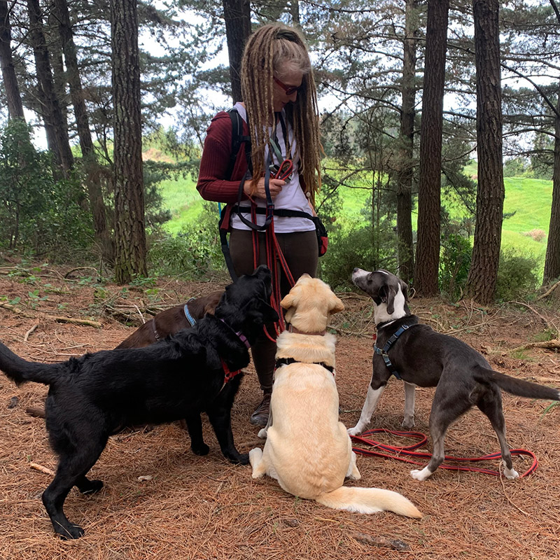 Dog Walker, Kellie