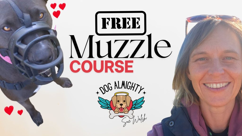 Free Muzzle Course