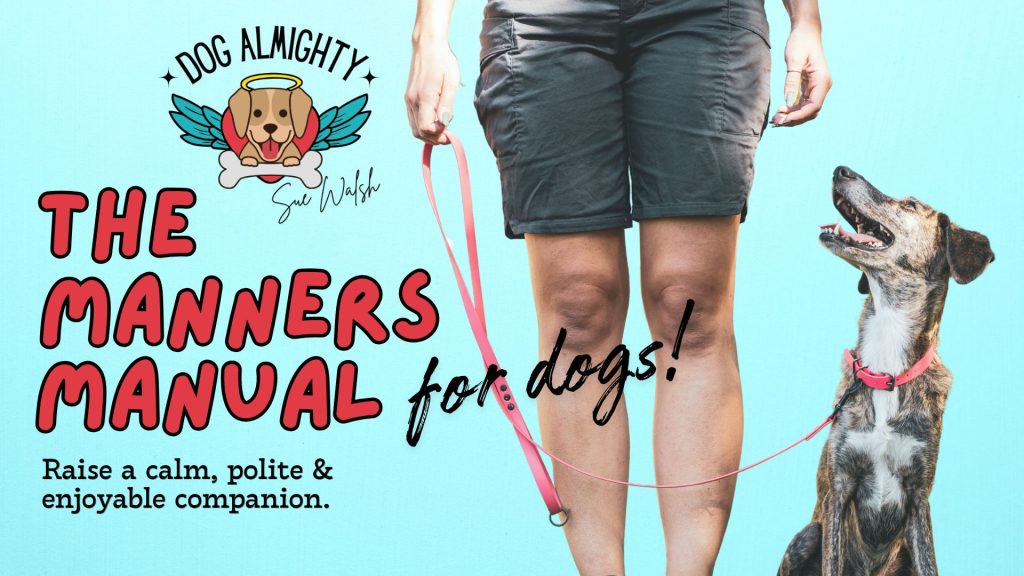 The Manners Manual for Dogs