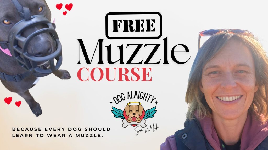 Muzzle Training Free Course