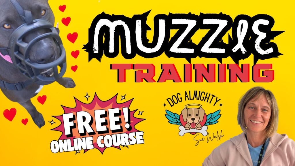Muzzle Training Online Course