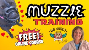 Muzzle Training Online Course