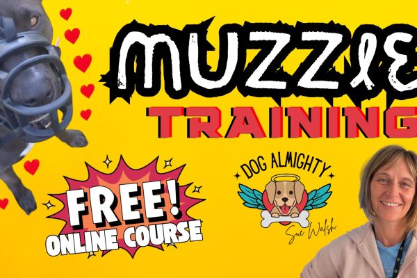 Muzzle Training Online Course