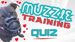 Muzzle Training quiz