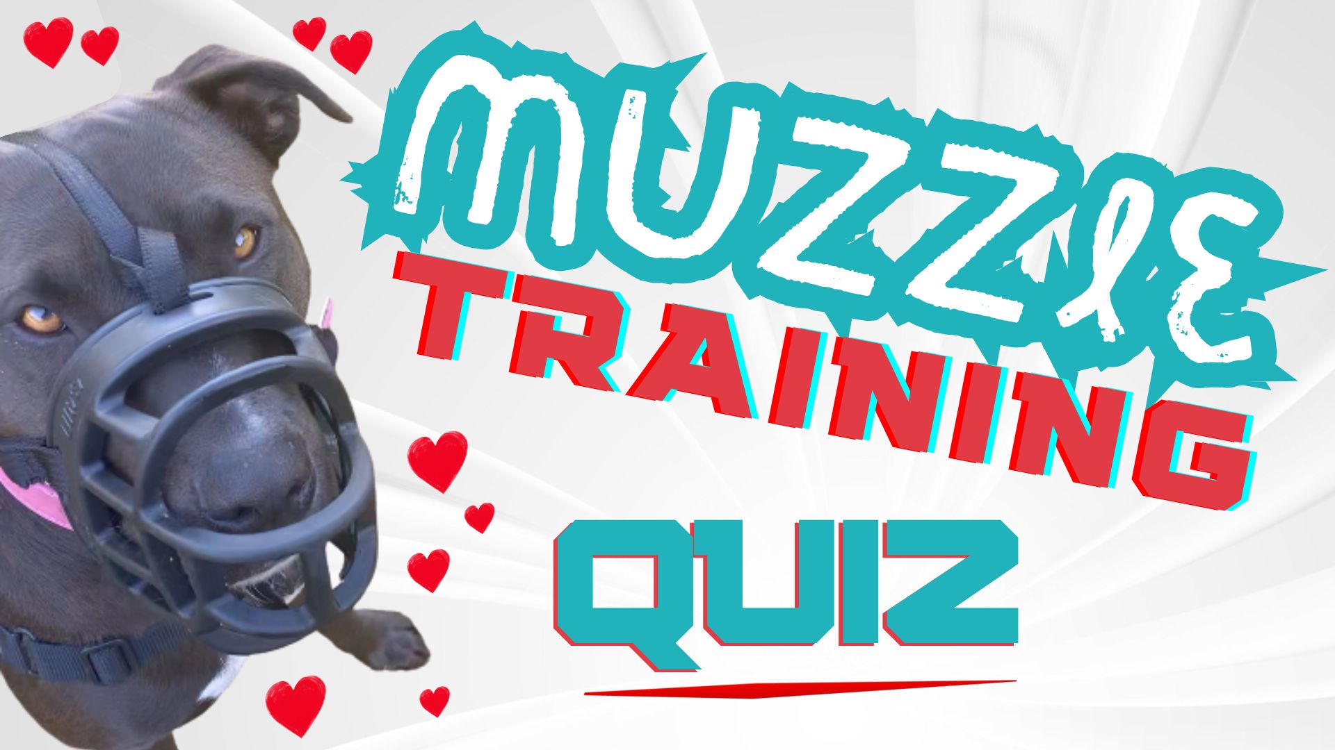 Muzzle Training Quiz