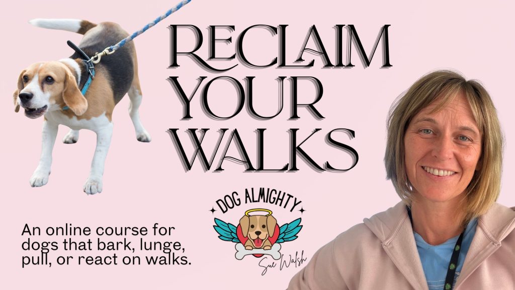 Reclaim your dog walks