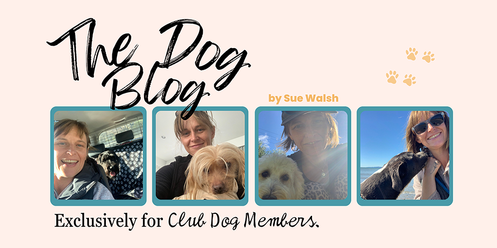 The Dog Blog