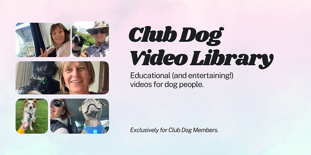 Club Dog Videos