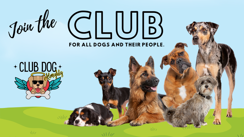 Club Dog Almighty