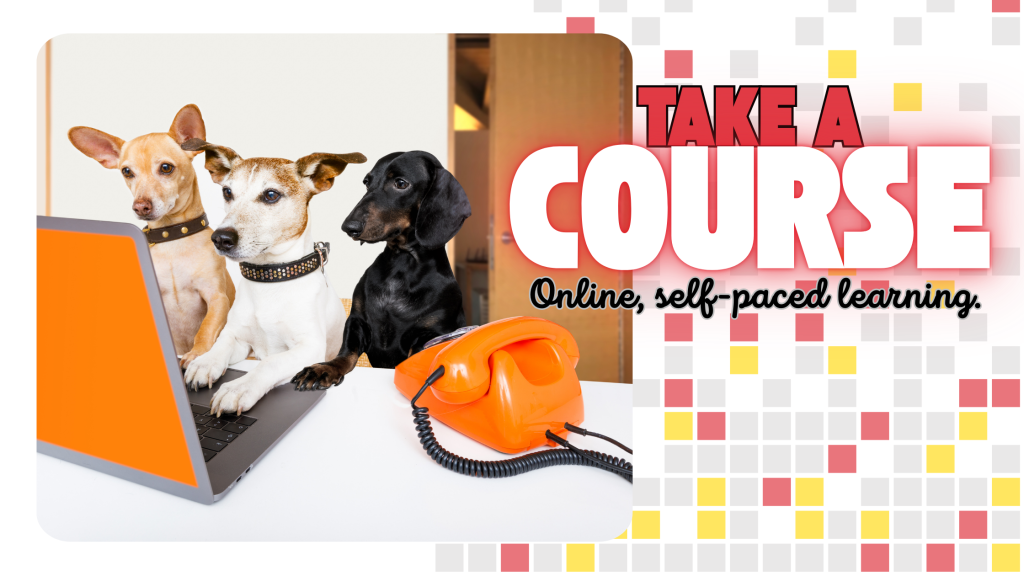 One-on-one dog behaviour coaching