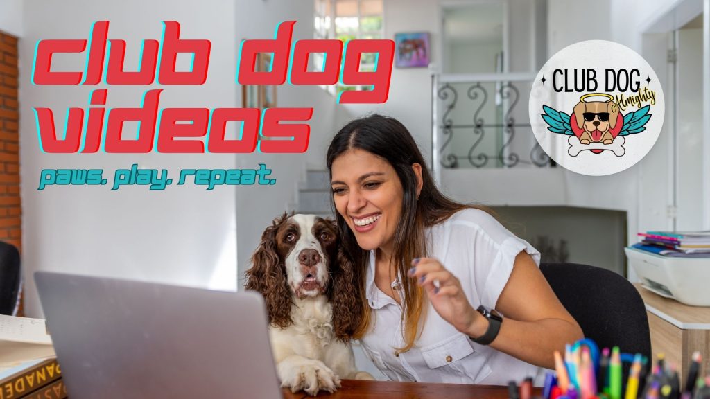 Club Dog Videos