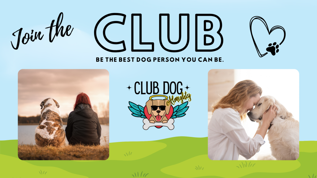 Club Dog Almighty