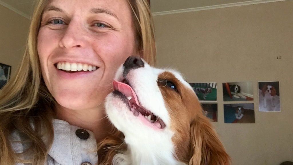 Dog Training and behaviour New Zealand