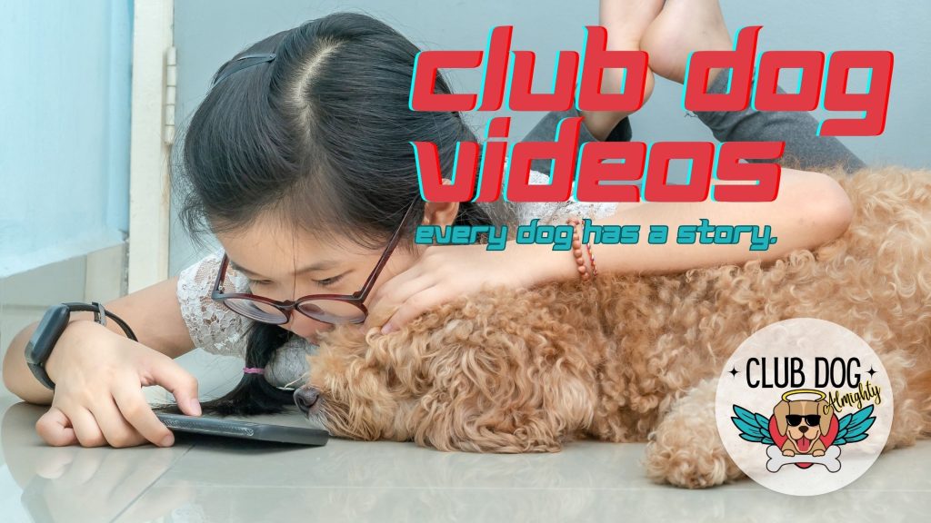 Club Dog Videos