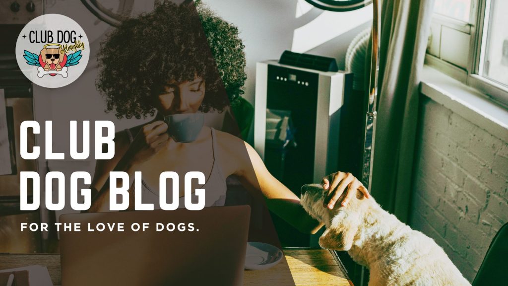 A dog blog to keep you informed.