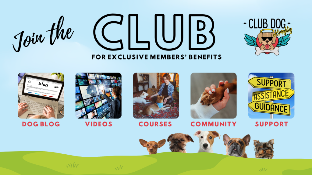 Club Dog Almighty