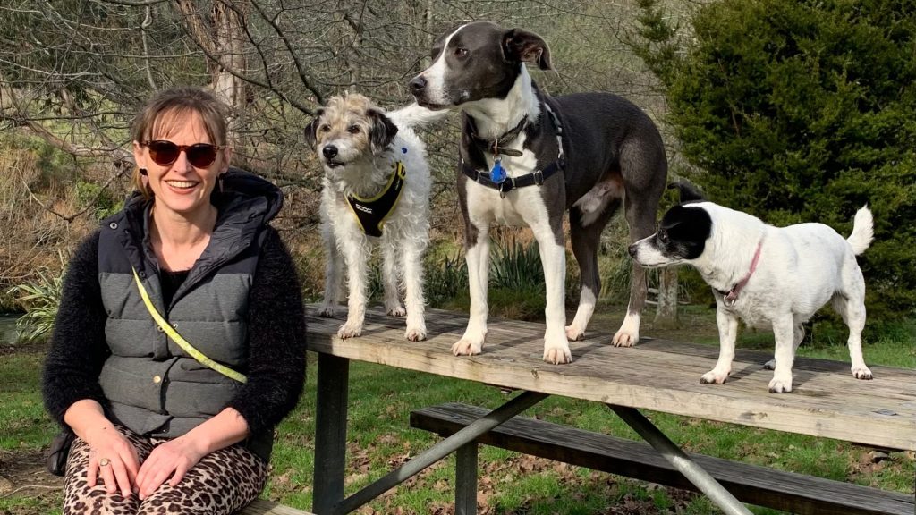 Dog Training and behaviour New Zealand