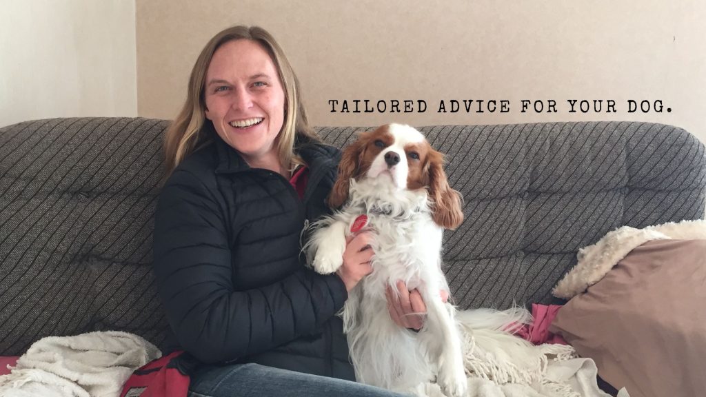 Tailored advice for your dog