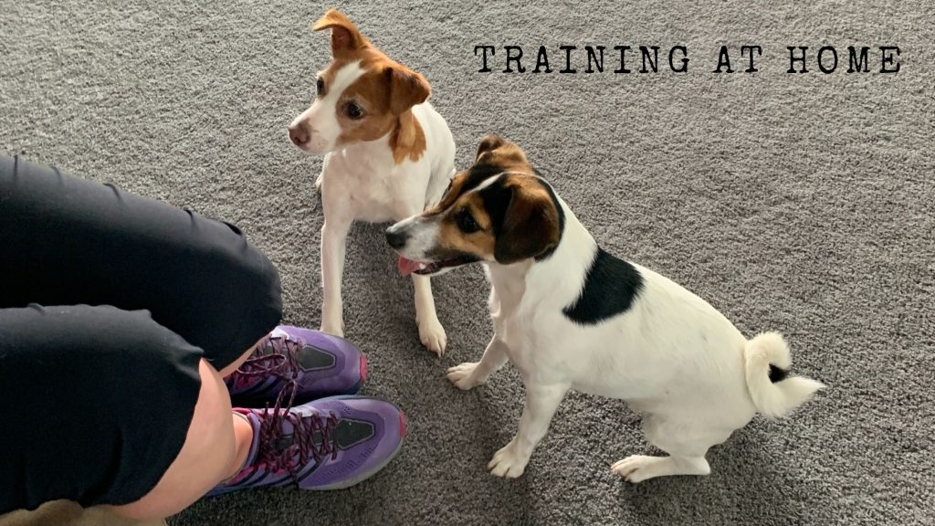 One on one training at home