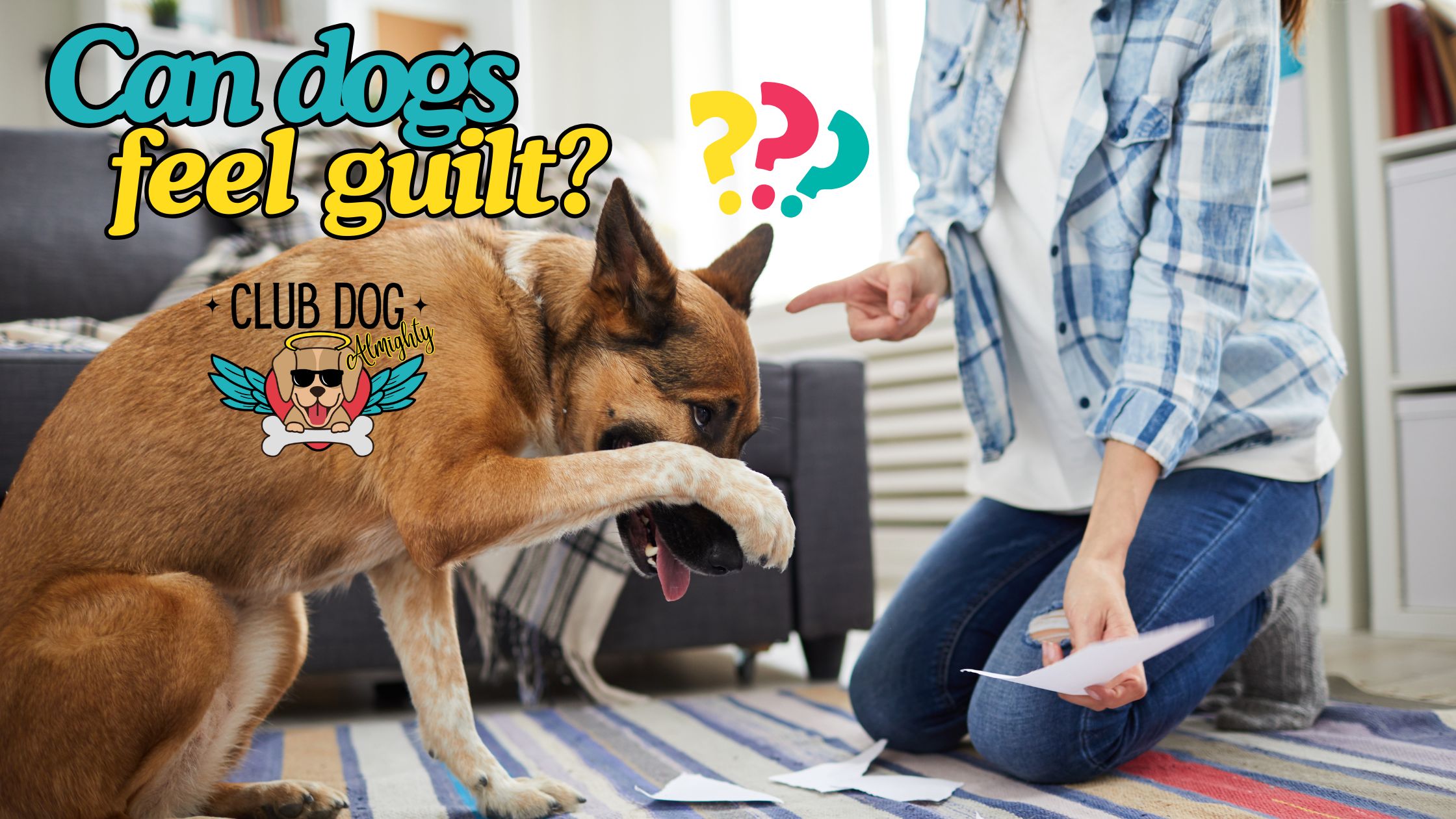 Can dogs feel guilt?