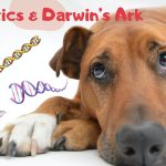 Genetics & Darwins ARK