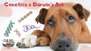 Genetics & Darwins ARK