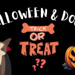 Halloween & Dogs