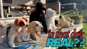 Is that dog REAL?