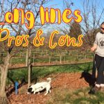Long Line – Pros & Cons