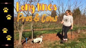 Long lines Pros & Cons