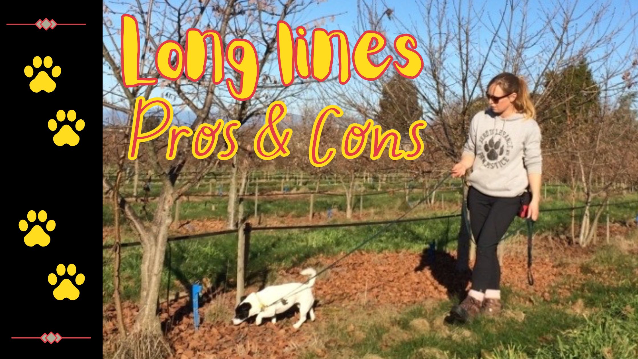 Long lines Pros & Cons